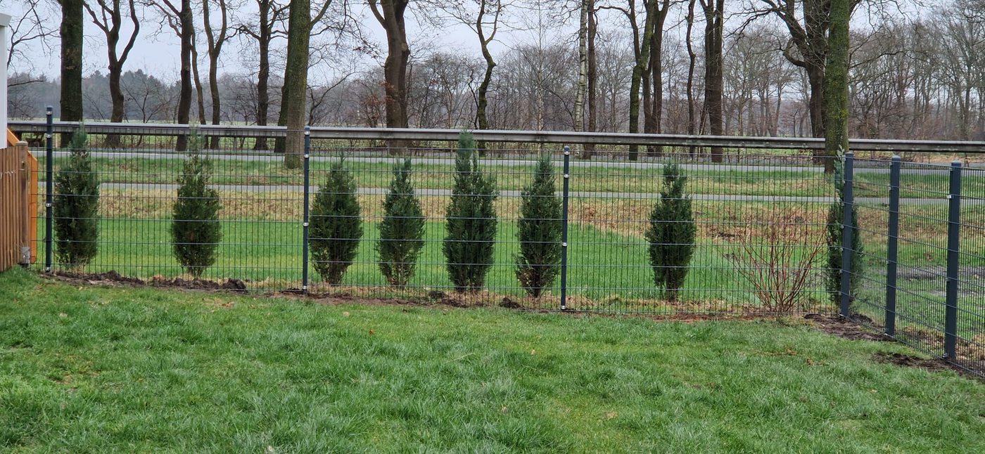 Gartenbegrenzung Projekt 1